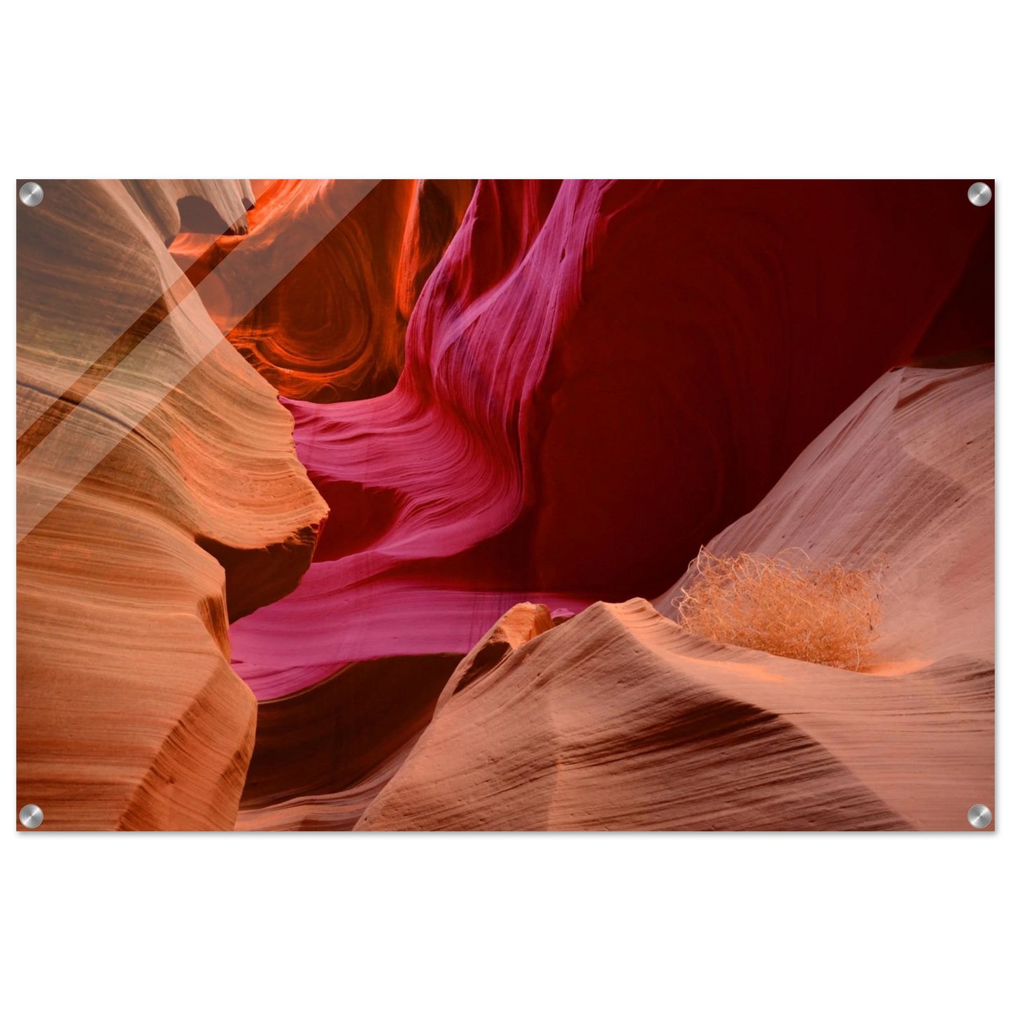 0f3acd4e-6394-4c72-b752-b85e29351081
