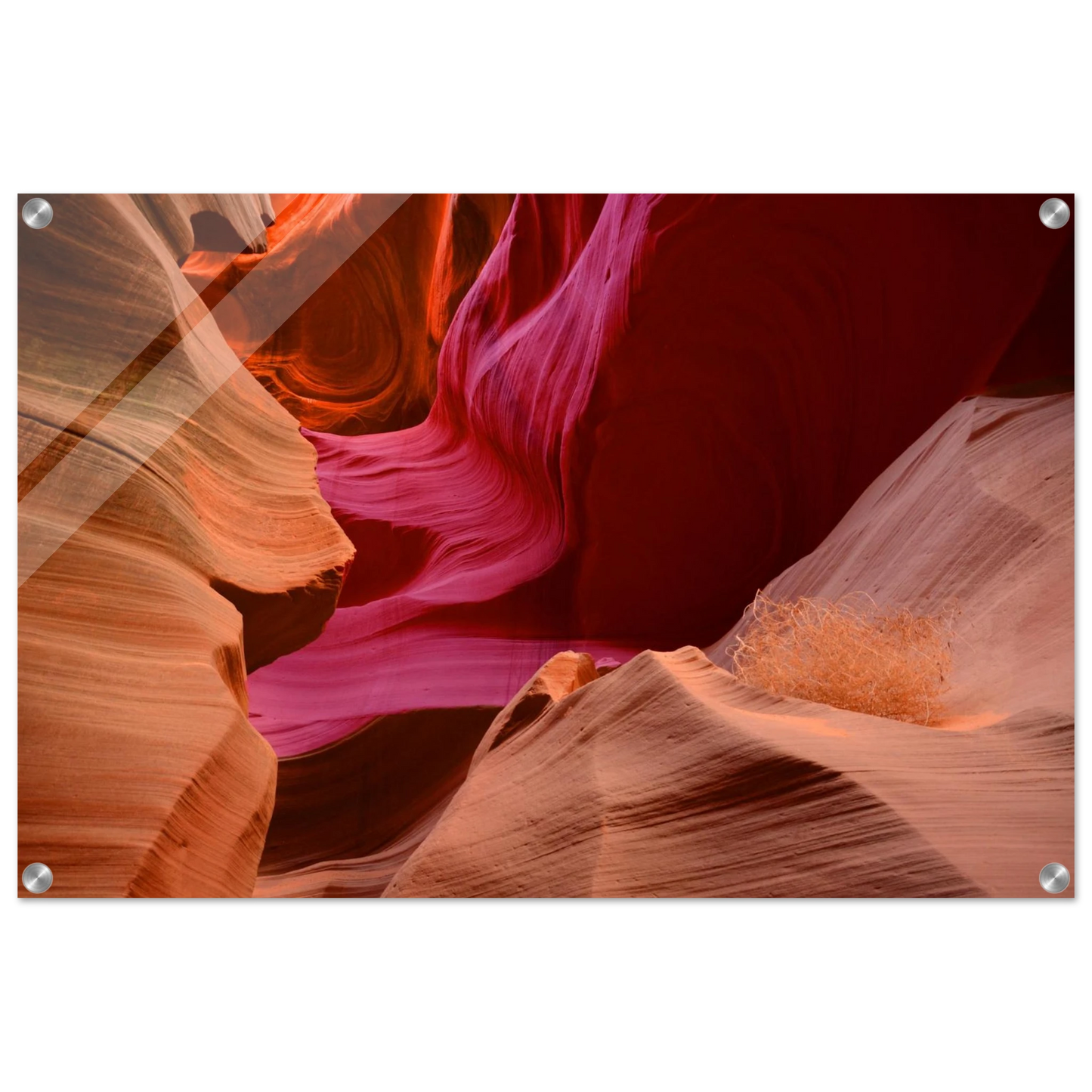 217195ee-0ff6-4299-b904-922935f31f31