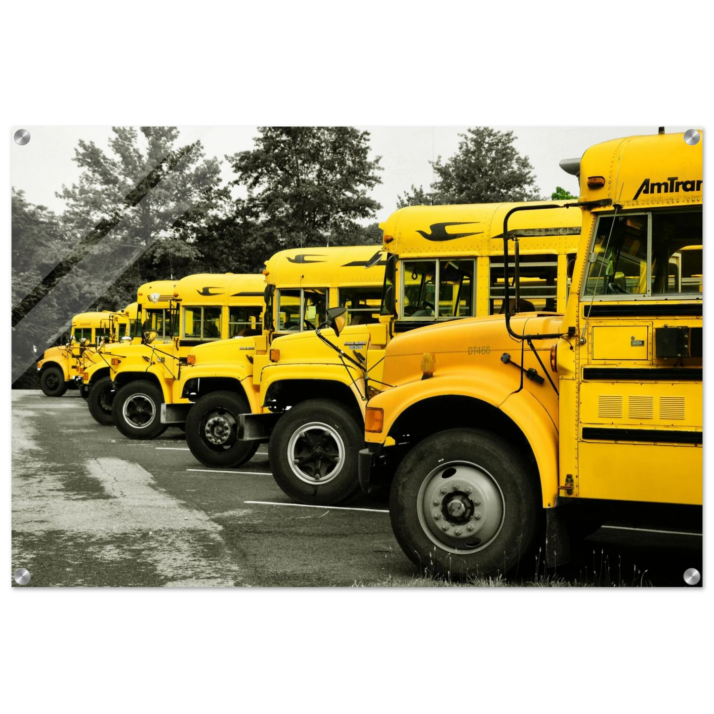 243b38e8-5415-42cf-a6cf-933a2539cf13