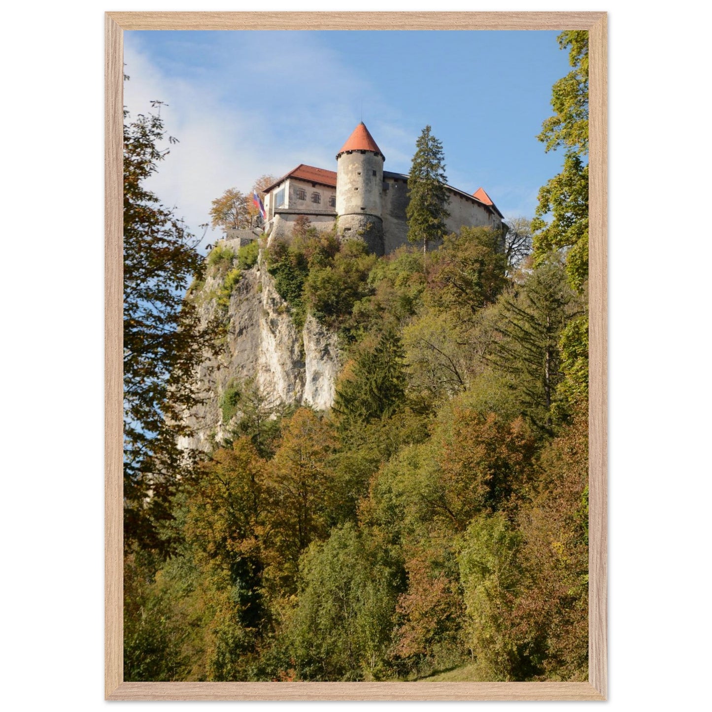 8fcb3667-8db3-45c0-adfb-f98c05268666