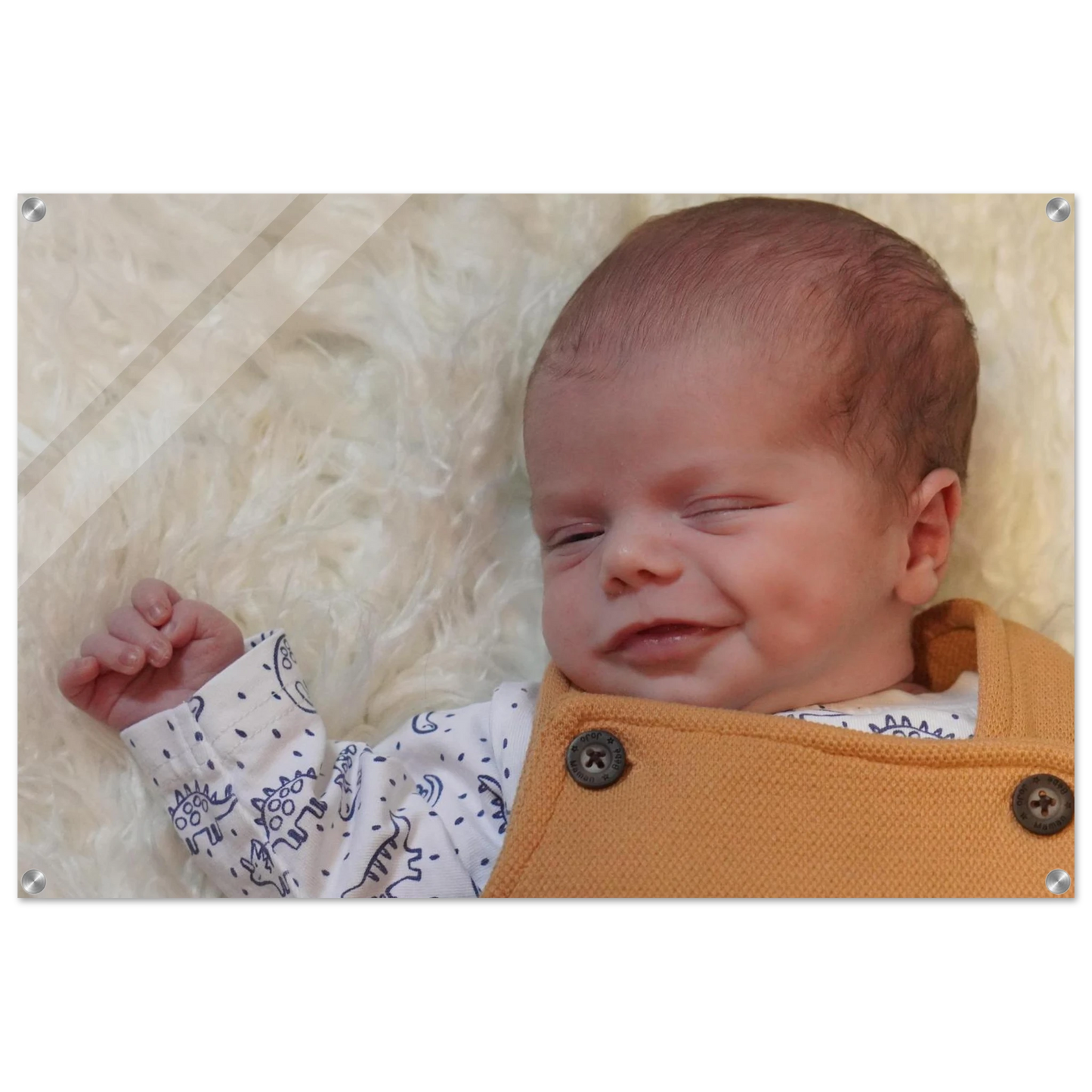 d22dad27-53c2-4889-9846-a8d62418ecc3