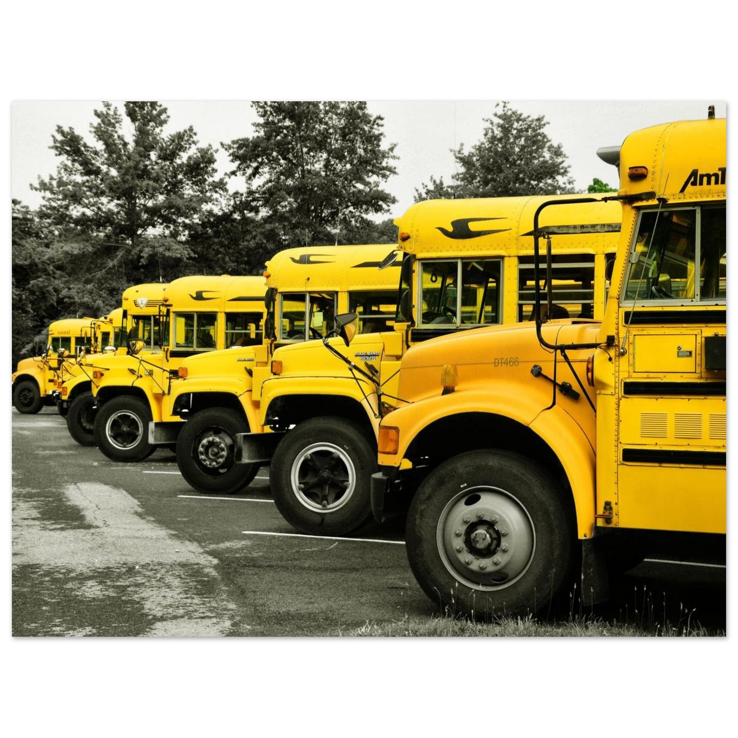 d37a8e65-0338-4953-8b10-96c5ee9346c8