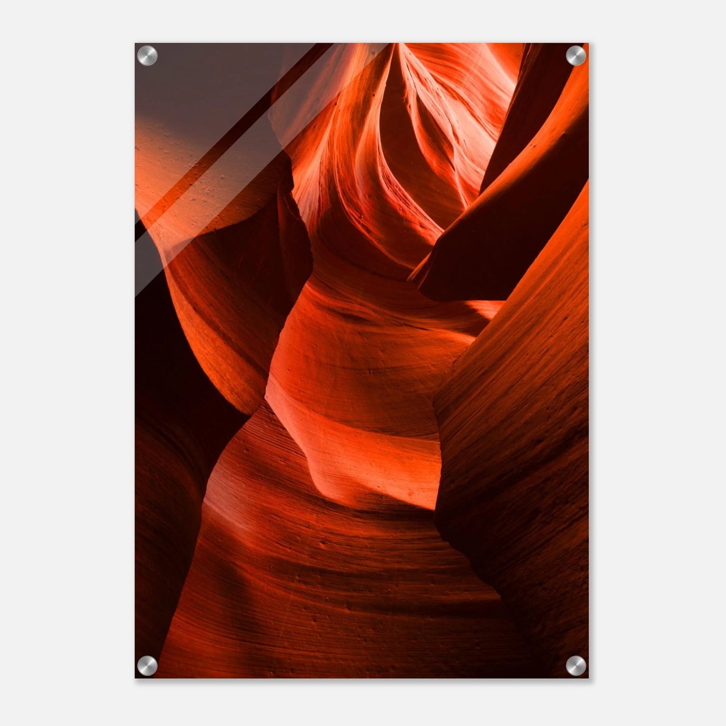 d67ff973-8e50-4070-8478-4fa4e267295c