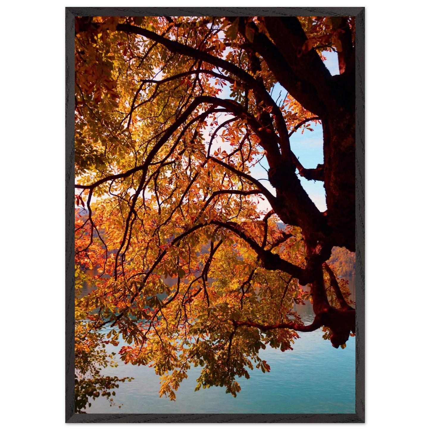 d906f8ef-5700-4fed-9112-7f1ed1546092