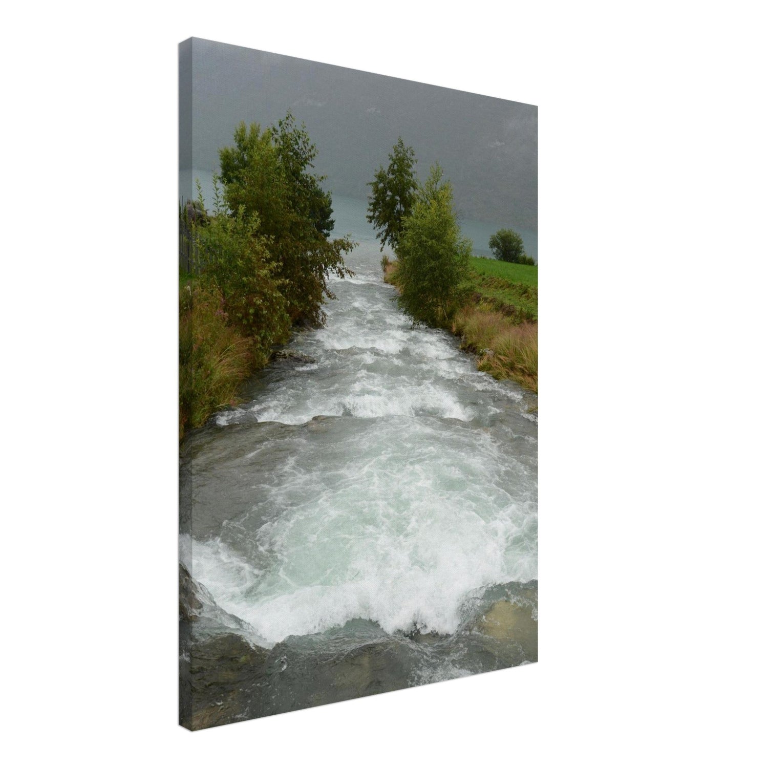 Featured Products