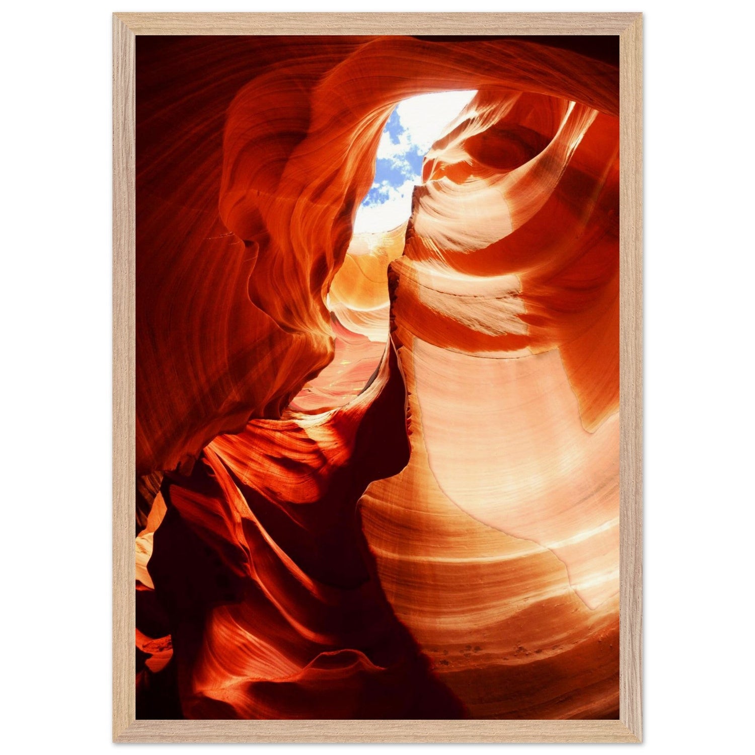 Printed Photography
