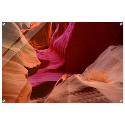 0f3acd4e-6394-4c72-b752-b85e29351081