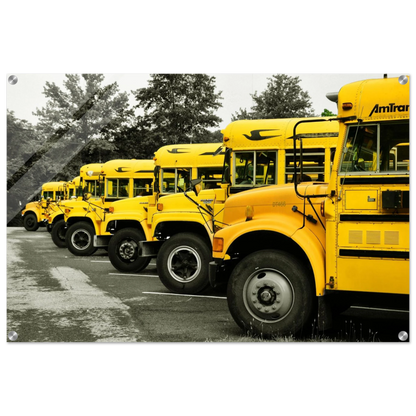 243b38e8-5415-42cf-a6cf-933a2539cf13