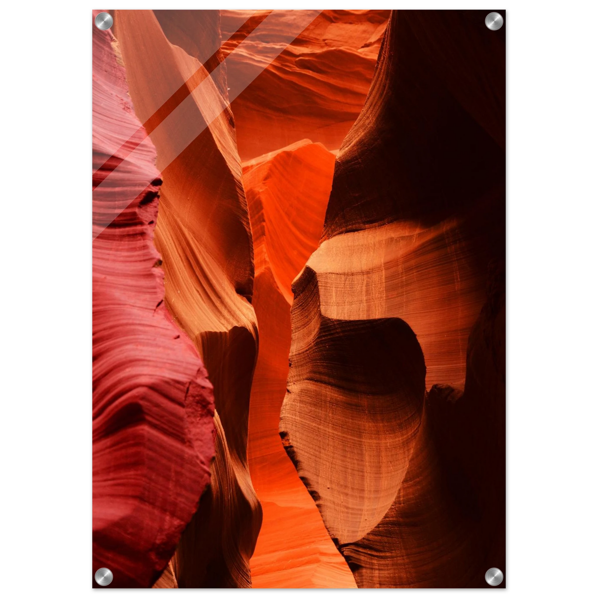 7e273fe9-1336-41fd-8554-d02b5ff513c2