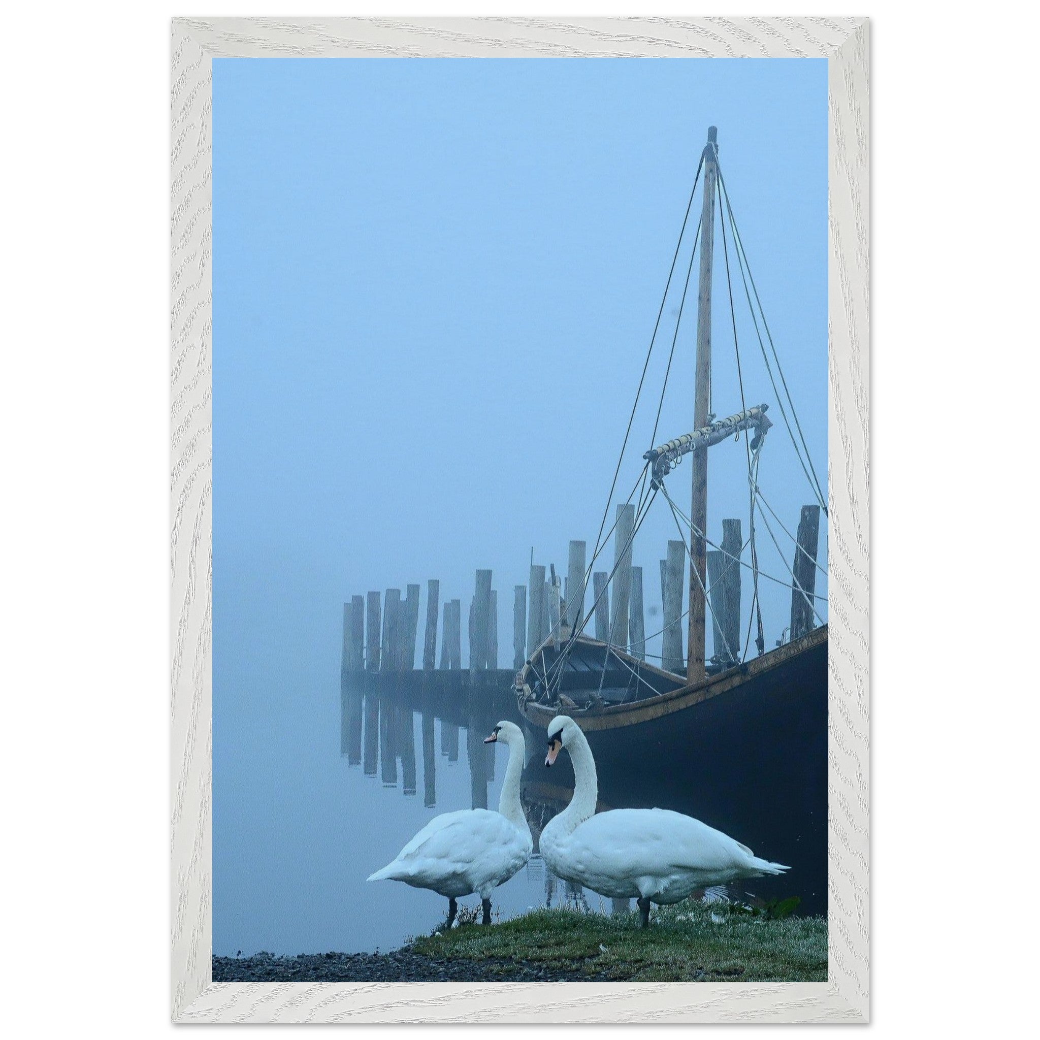 Swans in the Mist – Palette & Lens